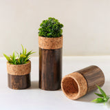 Wood & Cork Vase (3 Sizes)