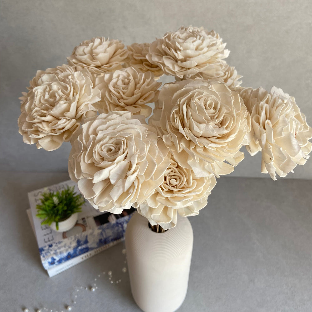 Thea Shola Hybrid Carnation-Rose