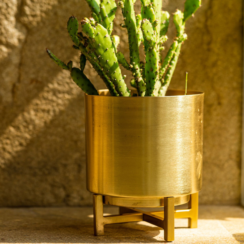 Gold Planter with Gold Stand