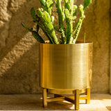 Gold Planter with Gold Stand