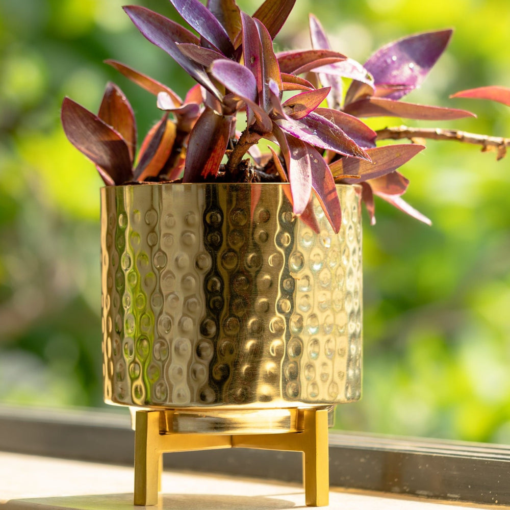 Gold Hammer Planter with Stand